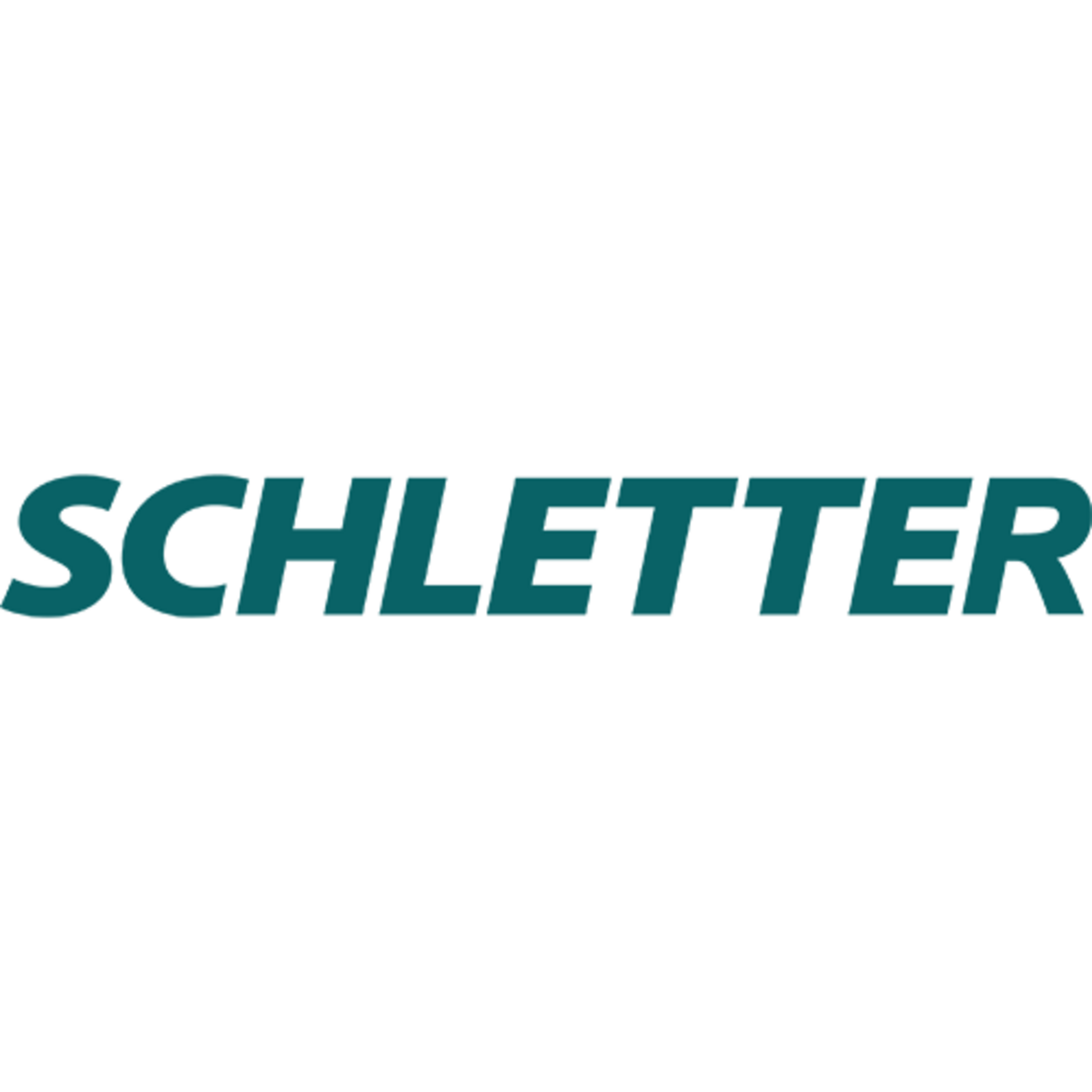 Logo Schletter bei Elektro Dornberger INH.: DOREEN DORNBERGER in Vacha