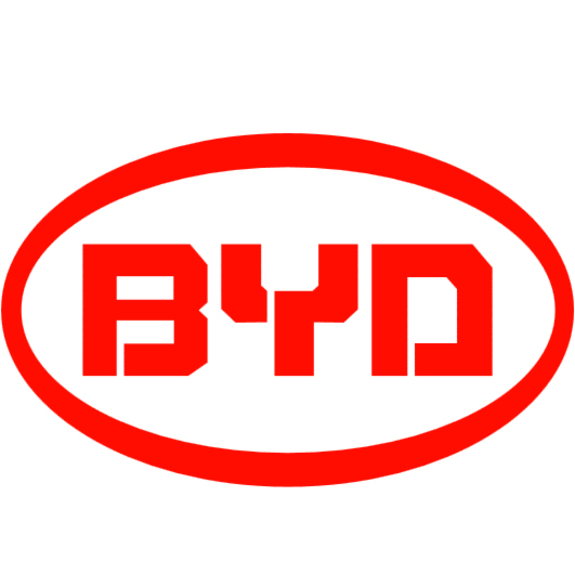 BYD Logo bei Elektro Dornberger INH.: DOREEN DORNBERGER in Vacha